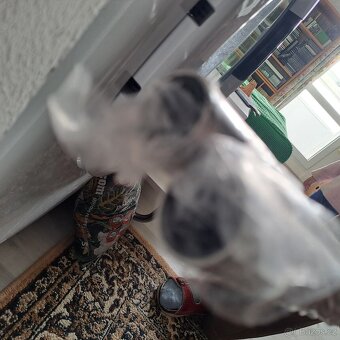 Nerezová trubka 25mm, délka 480 cm 2 kusy - 3