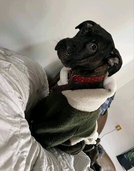 Daruji do dobrých rukou - 3