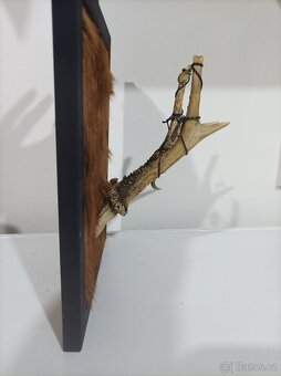 Dar lesa - 3
