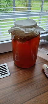 Kombucha - 3