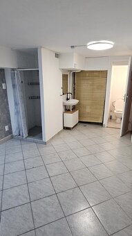 Pronájem místnosti v suterénu + sprch. kout + linka + WC - 3