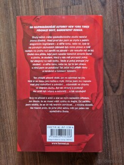 Penelope Ward - Jen jeden rok - 3