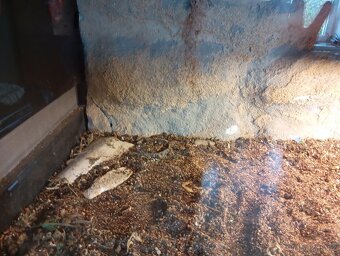 Terárium 100x50x50 cm - 3