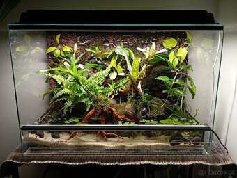 NOVÉ vybavené PALUDÁRIUM s vodopádem - 3