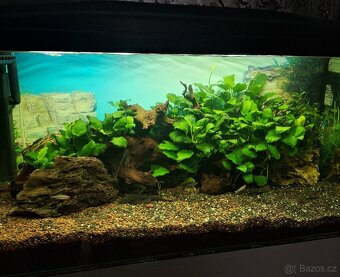 Akvarijní set - 3
