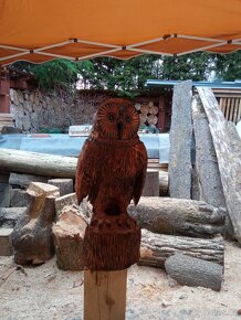 Dřevěná socha - sova - 3