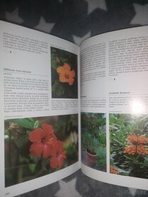 Encyklopedie pokojové rostliny - 3