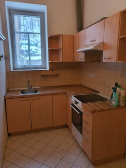 Pronájem 3+1 Děčín IX-Bynov, garáž, zahrada - 3