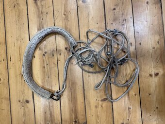 Lonžovací obřišník, postroj - 3