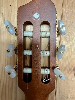 Godin Tele Classic Nylon 1995 (Pre Multiac) - 3