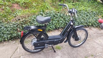 Piaggio Ciao - 3