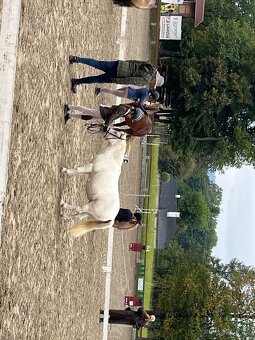 Pony pro nejmenší děti - 3