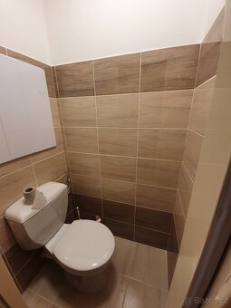 Pronájem bytu - 3