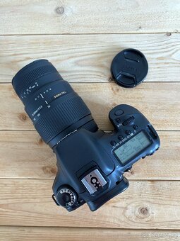 Canon EOS 7D + Sigma 70–300 mm f/4–5.6 Macro - 3