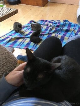 Vyhozená maminka - 3