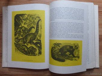 knížky o zvířatech a přírodě - 3