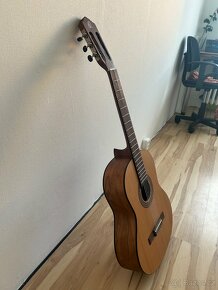 Prodávám kytaru - 3