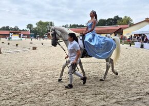 Výjimeční hřebci – na sport, rekreaci i chov - 3
