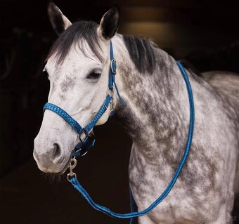 Set ohlavka a voditko Horze - 3