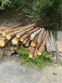 Palivové dřevo - 3