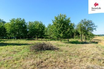 Prodej zahrady 1690 m2, Slezské Rudoltice - 3