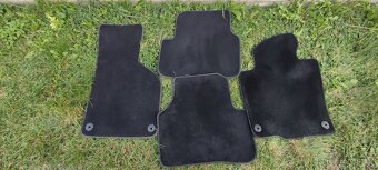 Koberečky PASAT 2013 - 3