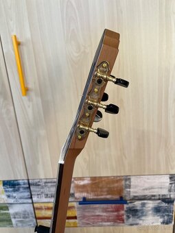 Kytara španělská Höfner - 3