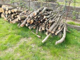 Třešňové dřevo - 3