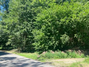 Pozemek v zeleni, pro milovníky přírody a klidu - 3