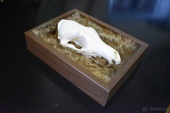 Dekorativní rámeček s lebkou - 3