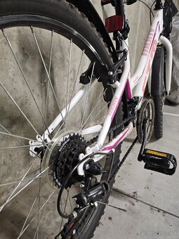 Dívčí kolo 13", CTM 24" - 3