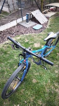 Amulet Tomcat 24" - 3