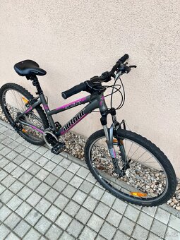 Author Spectra 26”/16” TOP STAV - 3