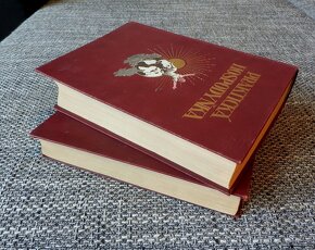 Praktická hospodyňka, starožitná kniha z roku 1928, oba díly - 3