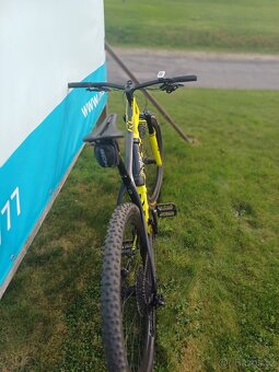 Carbon 29 - 3