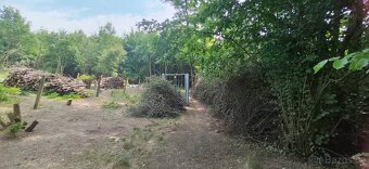 Pronájem zahrádka | Zahrada 663 m2, Orlová Město - 3