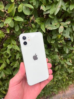 Iphone 12 Green - 3