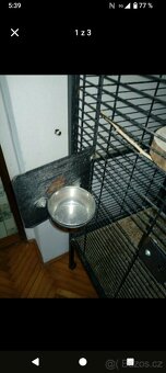 Klec pro papoušky - 3