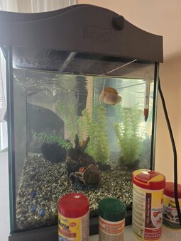 Akvarium - 3