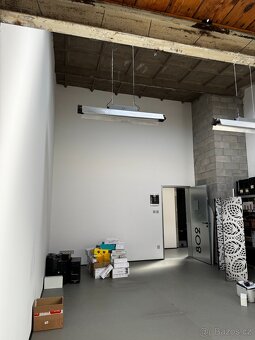 Pronájem nebytového prostoru 38 m² v industriálním stylu - 3