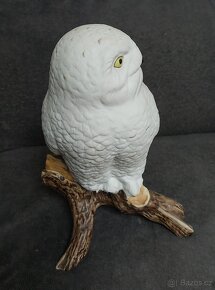 Sova sněžná, Pastel - Royal Dux Bohemia - 3