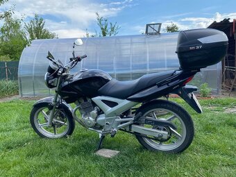 Honda CBF 250 - 3