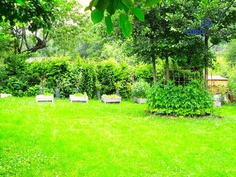 Prodej, zahrada 615 m2 s chatkou, obec Běšiny u Klatov - 3