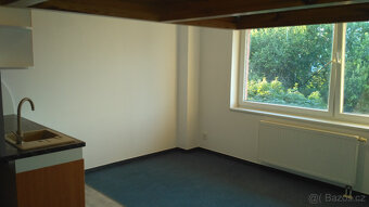 Pronájem bytu 1+kk - 3