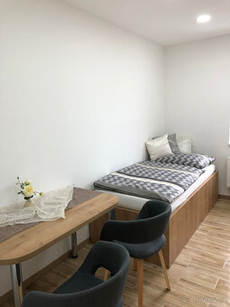 PRONÁJEM BYTU 1+KK, ULICE VEJVANOVSKÁ, ZLÍN - 3