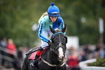 Mohutný, vysoký valach A1/1 na rekreaci i do sportu - 3