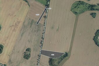 Zemědělská půda, prodej, Skuteč, Chrudim - 3