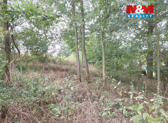 Prodej ovocného sadu, 163 m², Bystřice - 3