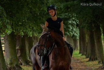 Valach po Grand Step - 3