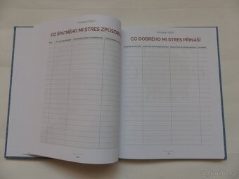 Tady končí stres : Jak uřídit emoce a myšlenky - 3